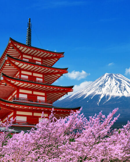 Tradução em japonês profissional: escolha especialistas